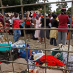 Zimbabweans return home from South Africa amid anti-immigrant tensions