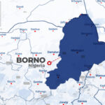 Troops Kill ISWAP Cameraman In Borno, Recover Footage Of Terrorist Activities