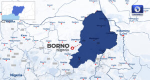 Troops Kill ISWAP Cameraman In Borno, Recover Footage Of Terrorist Activities