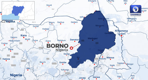 Troops Kill ISWAP Cameraman In Borno, Recover Footage Of Terrorist Activities