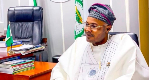 ‘I’m Not Hiding, I Only Fear for My Life,’ Says Adeyemi Amid ‘Presidential Council’ Controversy