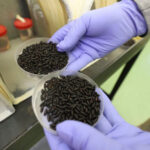 While Mexico defends ‘sovereignty,’ cartels import a flesh-eating parasite into Texas