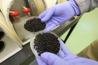 While Mexico defends ‘sovereignty,’ cartels import a flesh-eating parasite into Texas