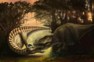This dinosaur fossil captures the final moments of a T. rex attack