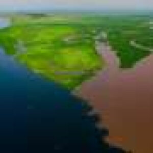 Lakes that ‘breathe’ ancient carbon: A surprising find in the Congo Basin