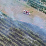 Термален дрон показа невидимата опасност след пожар край Пловдив, над 550°C под пепелта