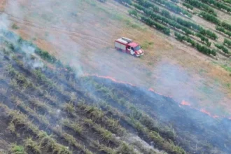 Термален дрон показа невидимата опасност след пожар край Пловдив, над 550°C под пепелта