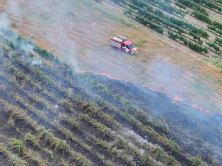 Термален дрон показа невидимата опасност след пожар край Пловдив, над 550°C под пепелта