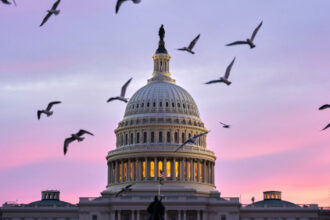 MORNING GLORY: The countryside versus the capitol part I