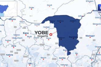 Yobe Govt Raises Alarm Over Diversion Of Ready-To-Use-Therapeutic Food