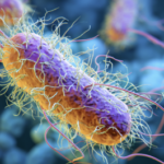 Salmonella outbreak reported in relation to July 4th event in Yakima