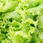 As a Massive Cyclospora Outbreak Scares Produce Shoppers, One Lettuce Brand Says Consumer Interest Just Exploded