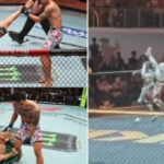 Humanoid Bot Kicking and Missing Like Conor McGregor