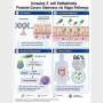 Microbiota dysbiosis triggers intestinal cancer stemness