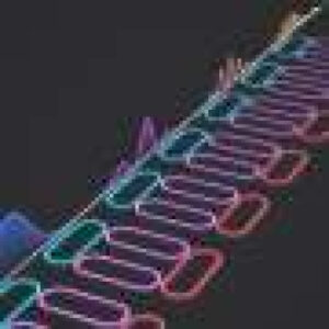 New optical chip design controls light speed in real time, simulations suggest