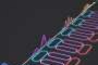 New optical chip design controls light speed in real time, simulations suggest