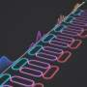 New optical chip design controls light speed in real time, simulations suggest