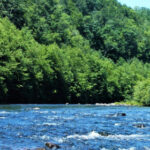 12-Year-Old Boy Dies After Raft Capsizes During School Trip in Pennsylvania