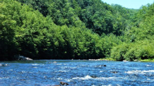 12-Year-Old Boy Dies After Raft Capsizes During School Trip in Pennsylvania