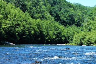 12-Year-Old Boy Dies After Raft Capsizes During School Trip in Pennsylvania