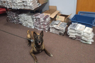 Nebraska K9 sniffs out 525 pounds of cocaine during routine traffic stop, leading to California man’s arrest