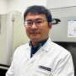 How brain remodeling during adolescence shapes memory