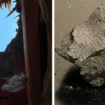 ‘Fireball’ meteorite that smashed into New Jersey home contains ingredients of life from an ancient proto-planet, study finds