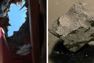 ‘Fireball’ meteorite that smashed into New Jersey home contains ingredients of life from an ancient proto-planet, study finds