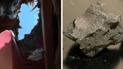 ‘Fireball’ meteorite that smashed into New Jersey home contains ingredients of life from an ancient proto-planet, study finds