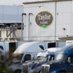 Cyclosporiasis outbreak in US: Supplier Taylor Farms recalls lettuce sourced from central Mexico as thousands fall ill