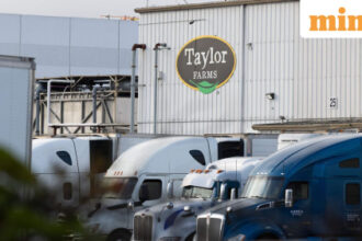 Cyclosporiasis outbreak in US: Supplier Taylor Farms recalls lettuce sourced from central Mexico as thousands fall ill