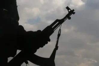 Military strikes, cholera outbreak collapse terrorist operations in Northeast – SBM Report