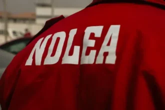 NDLEA intercepts 1.63 million tramadol pills, uncovers transnational drug syndicate