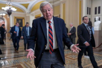Lindsey Graham warns Republicans, Democrats trying to ‘destroy’ Trump is a losing game after Cassidy defeat