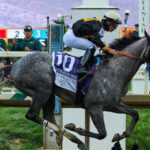 Napoleon Solo wins 151st Preakness Stakes