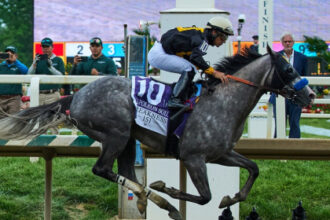 Napoleon Solo wins 151st Preakness Stakes