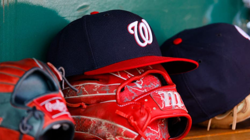 Washington Nationals unveil the latest stadium snack that will excite some, horrify others