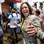 Kamala Harris is the ‘fairly obvious’ 2028 presidential frontrunner, Democratic insiders say