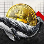 Bitcoin Whales Defy Volatility, Quietly Accumulate BTC at 17% Discount