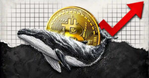 Bitcoin Whales Defy Volatility, Quietly Accumulate BTC at 17% Discount