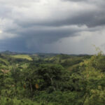 Madagascar: One of the Most Important Places for Life on Earth