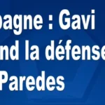 Espagne : Gavi prend la défense de Paredes