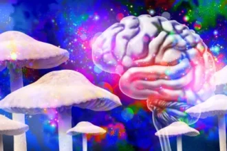 Magic mushrooms may reshape the brain long after the trip ends