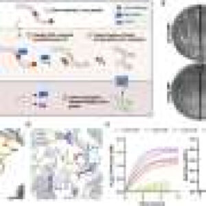 Engineered enzyme erases a stubborn mark of aging by up to 70% in human tissue samples