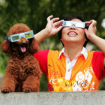 Do animals act weirdly during a solar eclipse? Or do we?