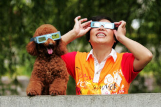 Do animals act weirdly during a solar eclipse? Or do we?