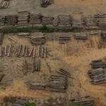 Without stronger government action, Brazil’s low deforestation in the Amazon is unlikely to last