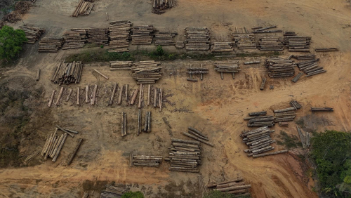Without stronger government action, Brazil’s low deforestation in the Amazon is unlikely to last