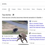 Jimothy, the Viral Raccoon, Scurries Across Your Screen in Google Animation