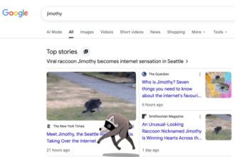 Jimothy, the Viral Raccoon, Scurries Across Your Screen in Google Animation